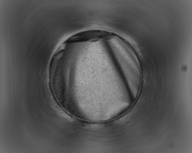 X0000089911280200707131342