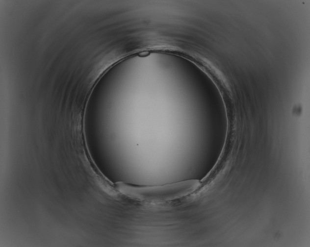 X0000089911281200707131342