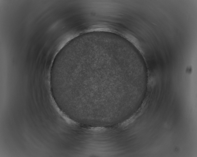 X0000089911282200707131342