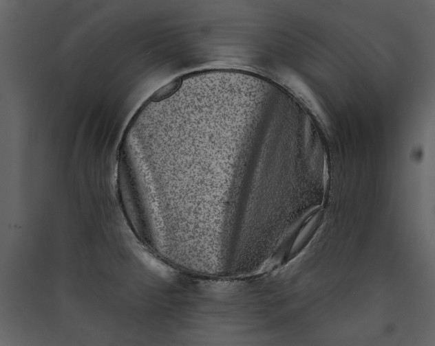 X0000089911284200707131342