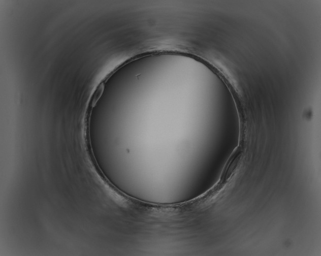 X0000089911285200707131342