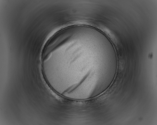 X0000089911286200707131342