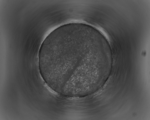 X0000089911287200707131342