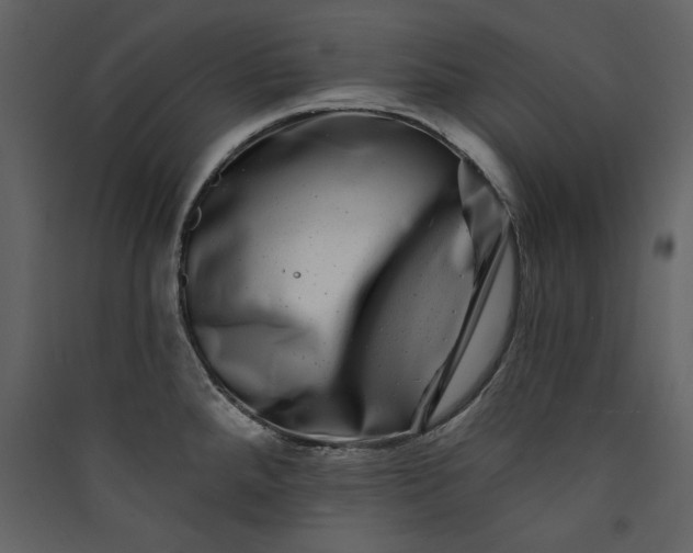 X0000089911288200707131342