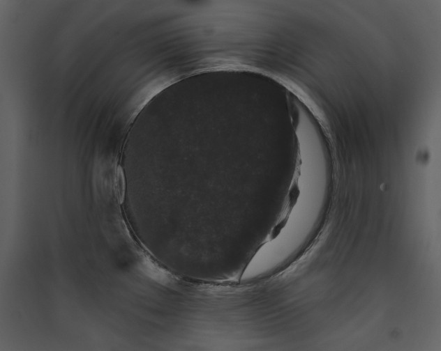 X0000089911289200707131342