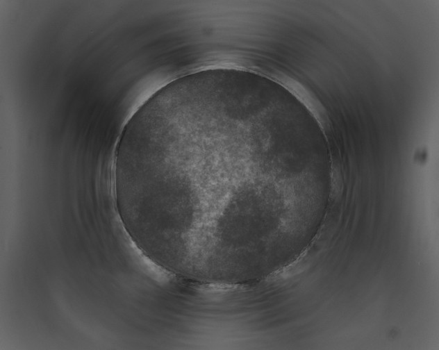 X0000089911290200707131342