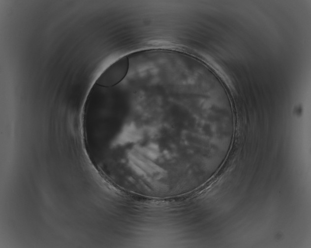 X0000089911291200707131342