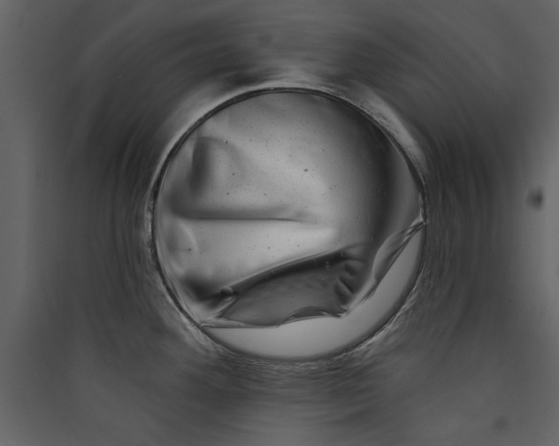 X0000089911292200707131342
