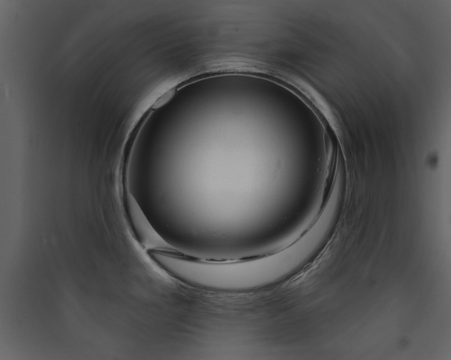 X0000089911293200707131342