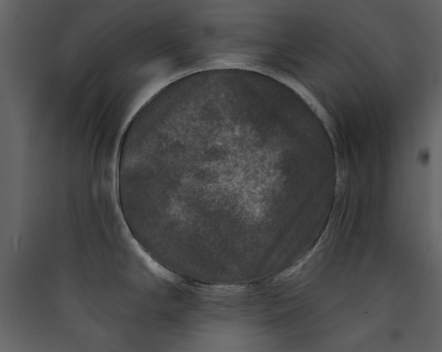 X0000089911294200707131342