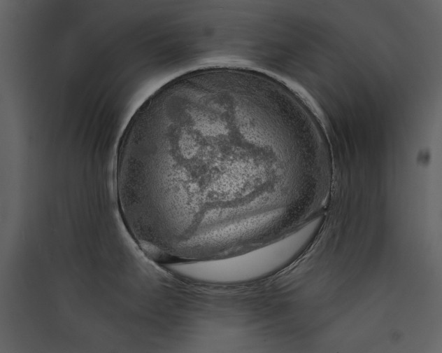 X0000089911295200707131342