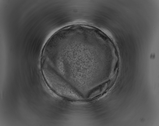 X0000089911296200707131342