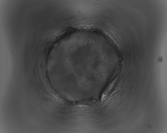 X0000089911297200707131341