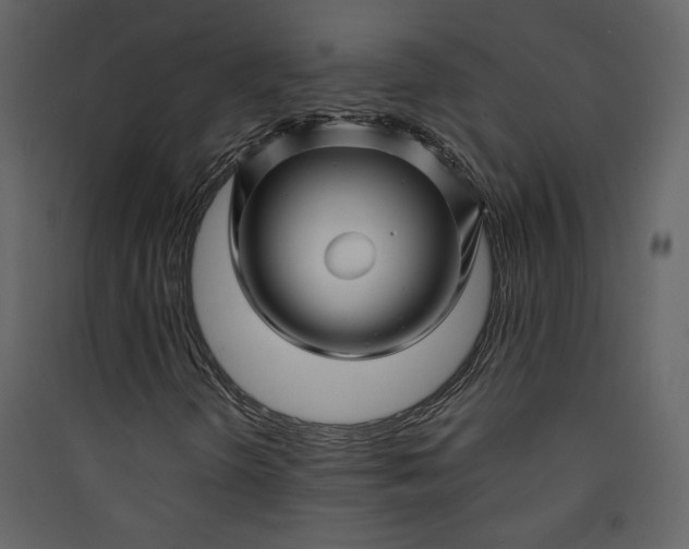 X0000089911298200707131341