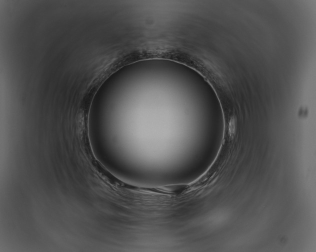 X0000089911299200707131341