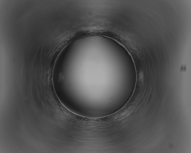 X0000089911300200707131341