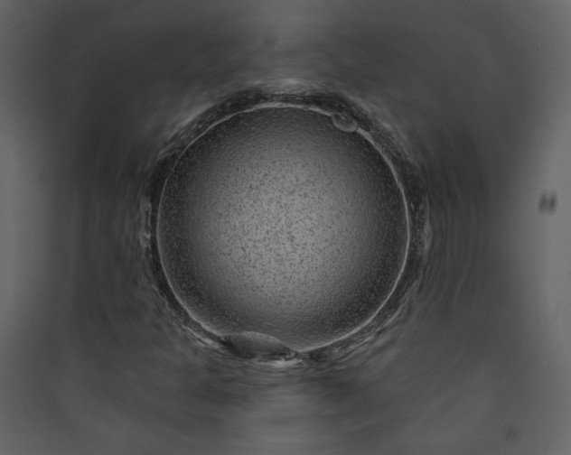 X0000089911301200707131341