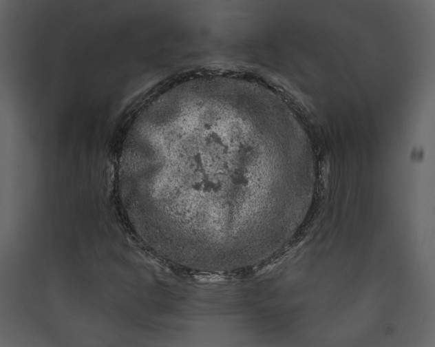 X0000089911302200707131341