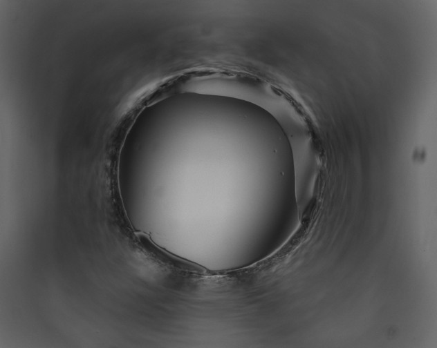 X0000089911304200707131341