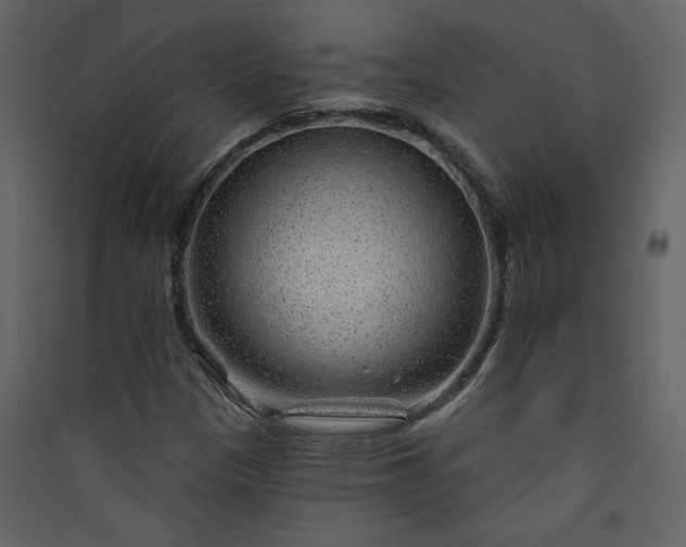 X0000089911305200707131341