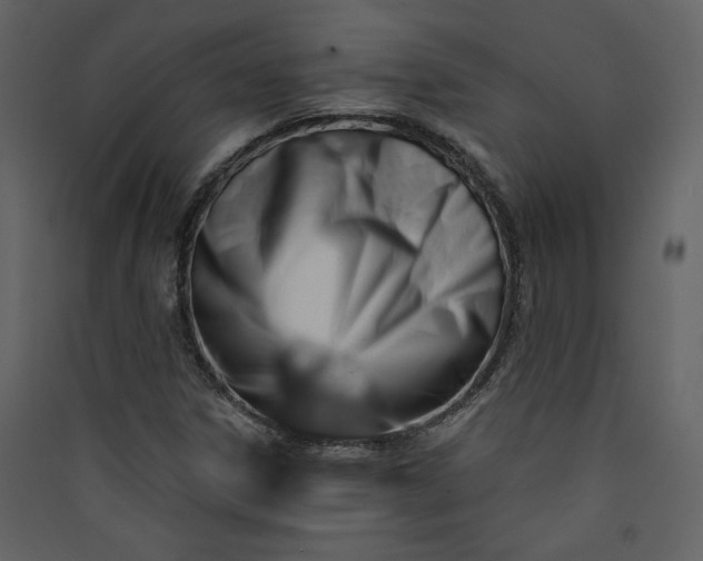 X0000089911306200707131341