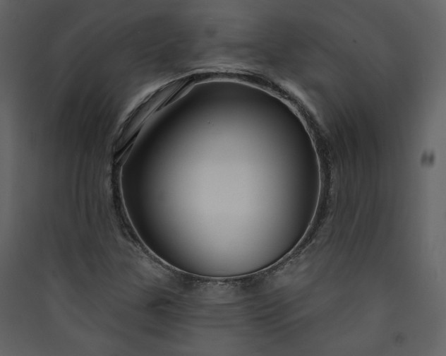 X0000089911307200707131341