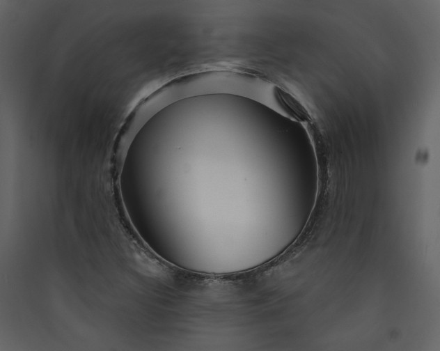 X0000089911308200707131341