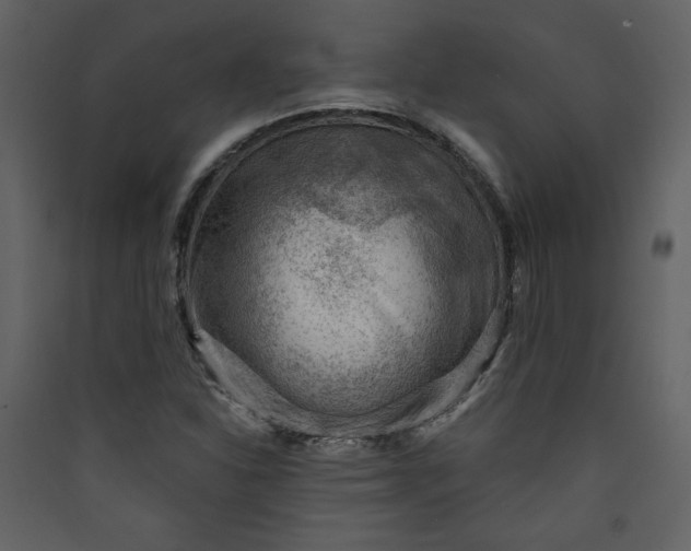 X0000089911310200707131341
