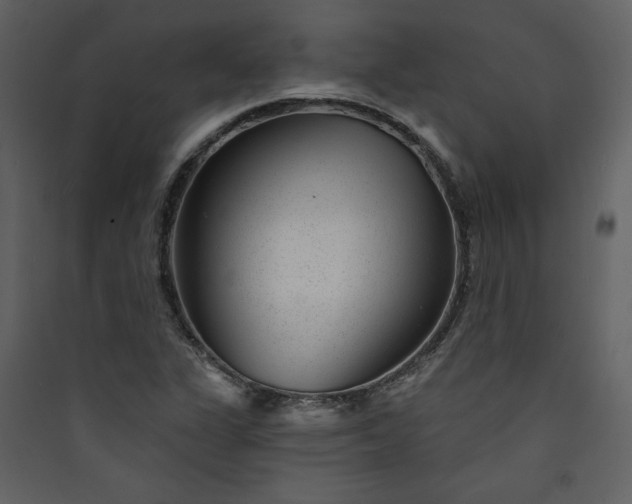 X0000089911311200707131341