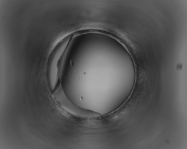 X0000089911312200707131341