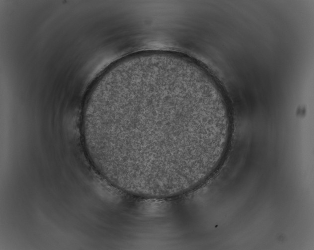 X0000089911314200707131341