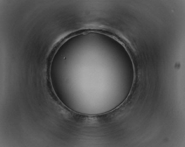 X0000089911315200707131341