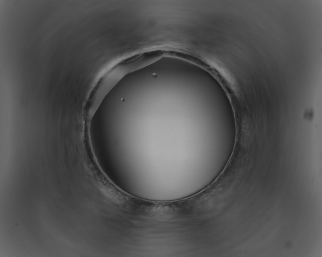 X0000089911316200707131341