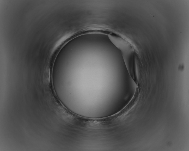 X0000089911317200707131341