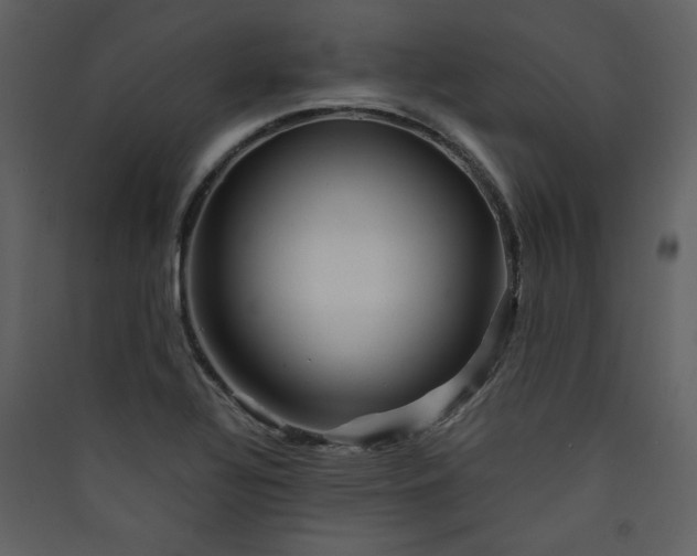 X0000089911320200707131341