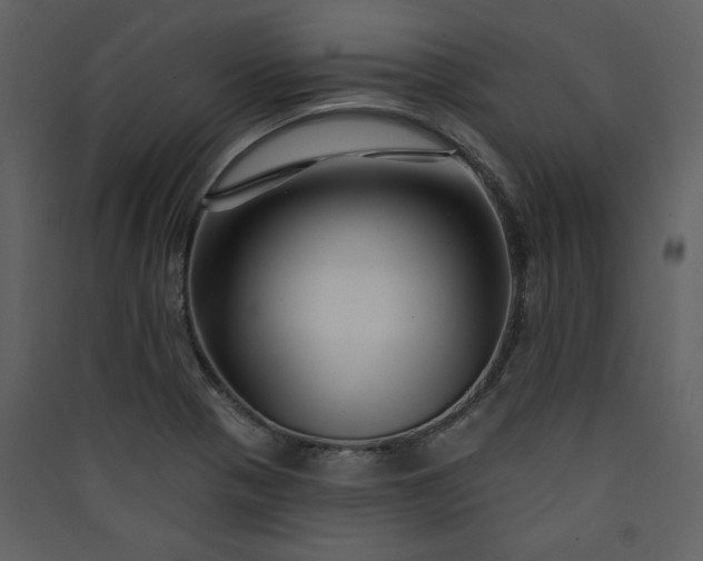 X0000089911321200707131341