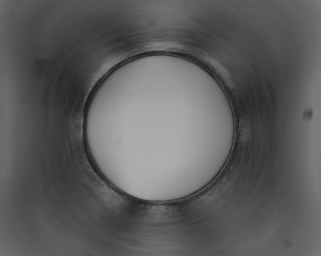 X0000089911322200707131341