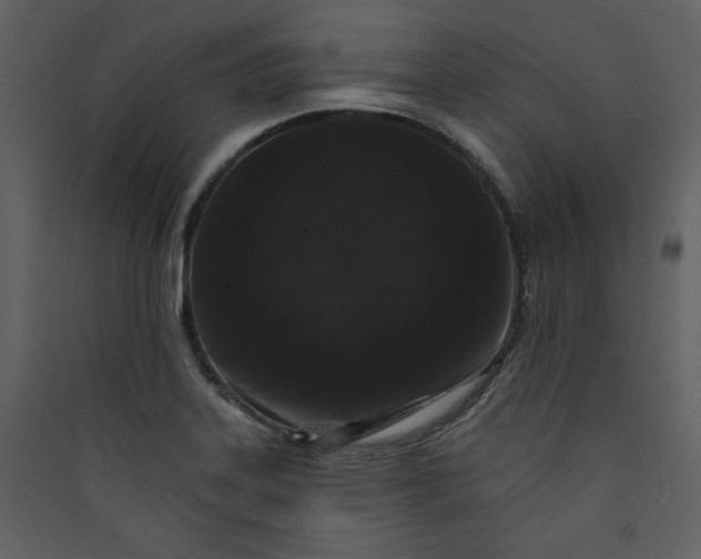 X0000089911323200707131341