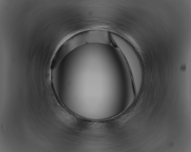 X0000089911324200707131341