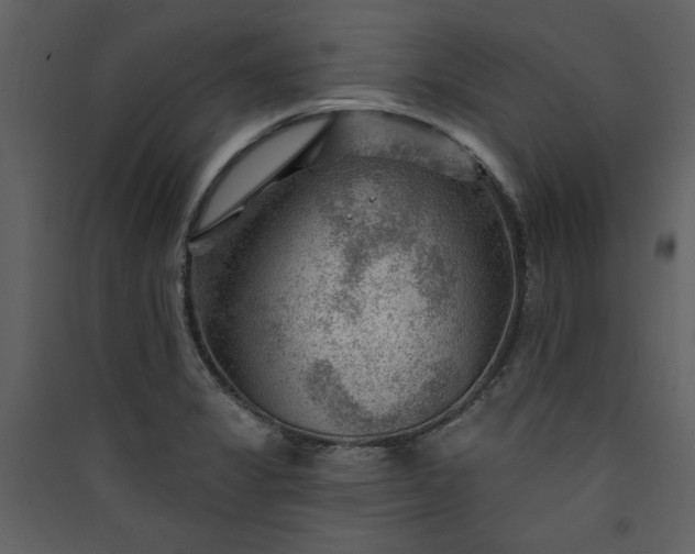 X0000089911325200707131341