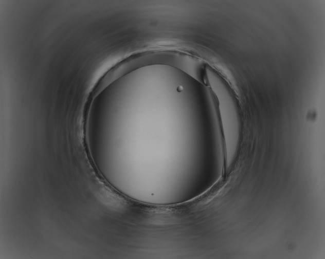 X0000089911328200707131341