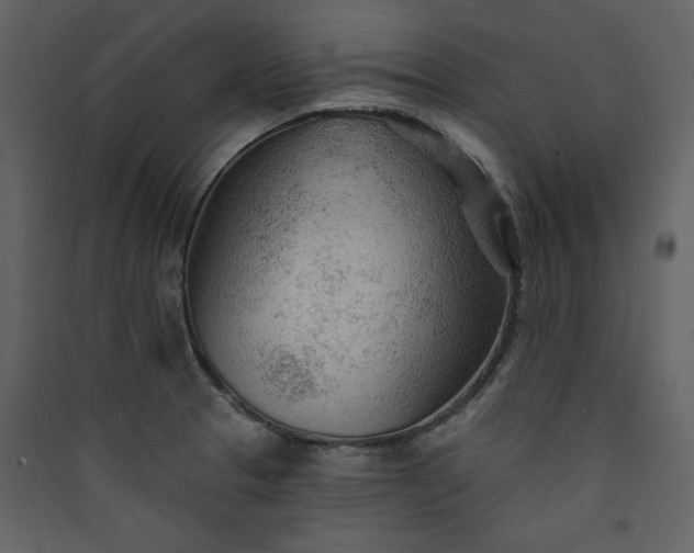X0000089911329200707131341