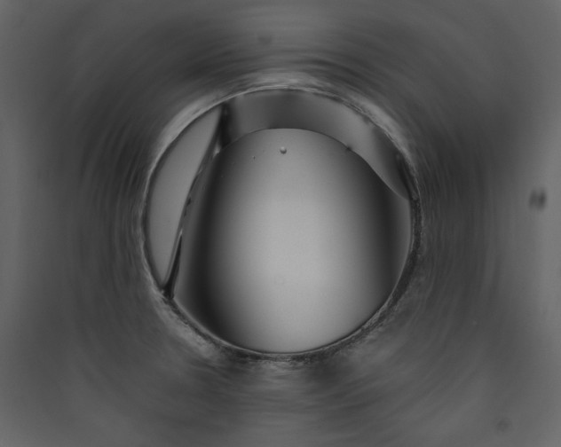 X0000089911330200707131341