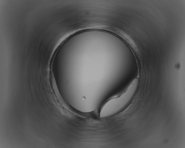 X0000089911332200707131341
