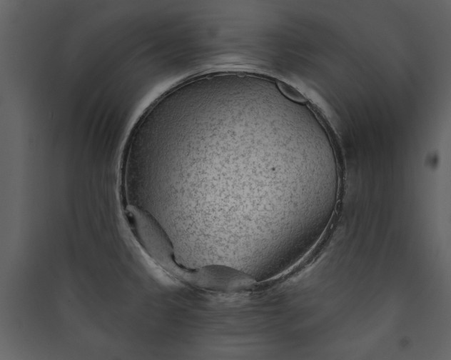 X0000089911333200707131341