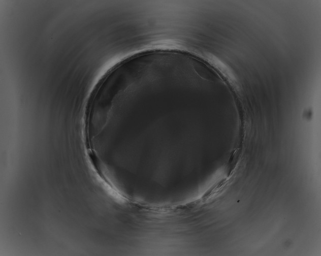 X0000089911334200707131341