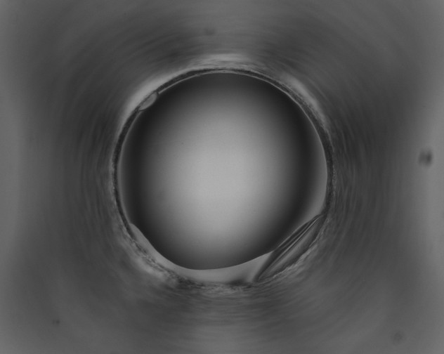 X0000089911336200707131341