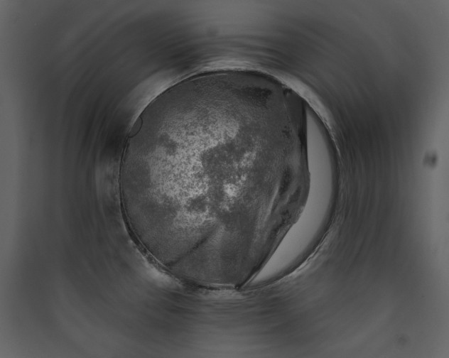 X0000089911337200707131341