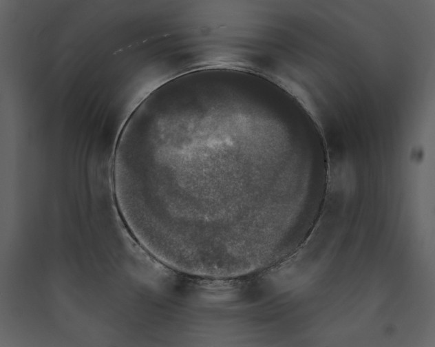 X0000089911338200707131341