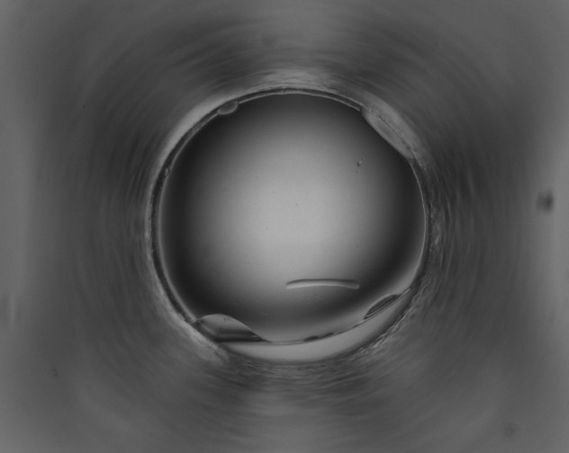 X0000089911339200707131341